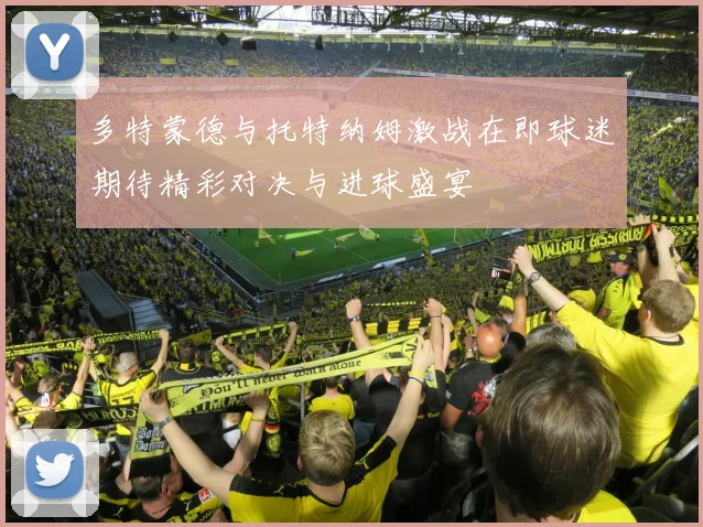 多特蒙德与托特纳姆激战在即球迷期待精彩对决与进球盛宴