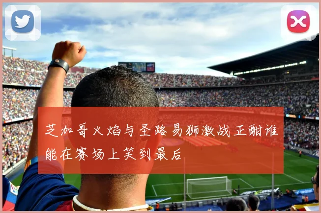芝加哥火焰与圣路易狮激战正酣谁能在赛场上笑到最后