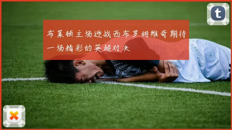 布莱顿主场迎战西布罗姆维奇期待一场精彩的英超对决