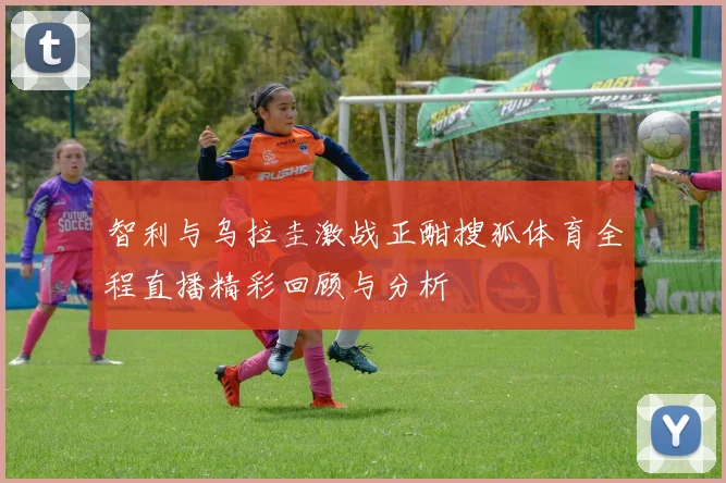 智利与乌拉圭激战正酣搜狐体育全程直播精彩回顾与分析