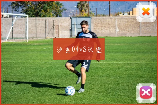 沙克04vS汉堡