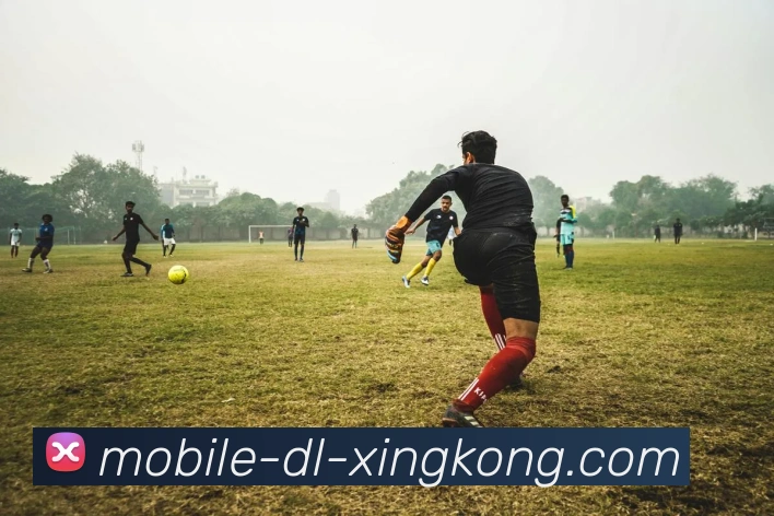 星空体育发展历程